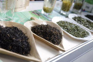 超赞！中山扶贫展销会圆满落幕，300余种特色农产品备受青睐，食用农产品初加工成焦点