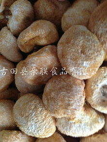 古田县亲联食品 其他食用菌产品及食用农产品初加工服务概览