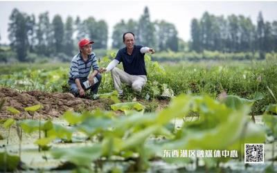 临空港 食用农产品初加工产业蓬勃发展，打造乡村振兴新引擎