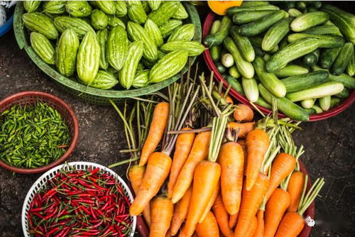 2020关键年 探索他国生态循环农业模式，深化食用农产品初加工发展