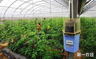 智慧农业新蓝图 福建推进生产智能化 政策红利助力产业升级